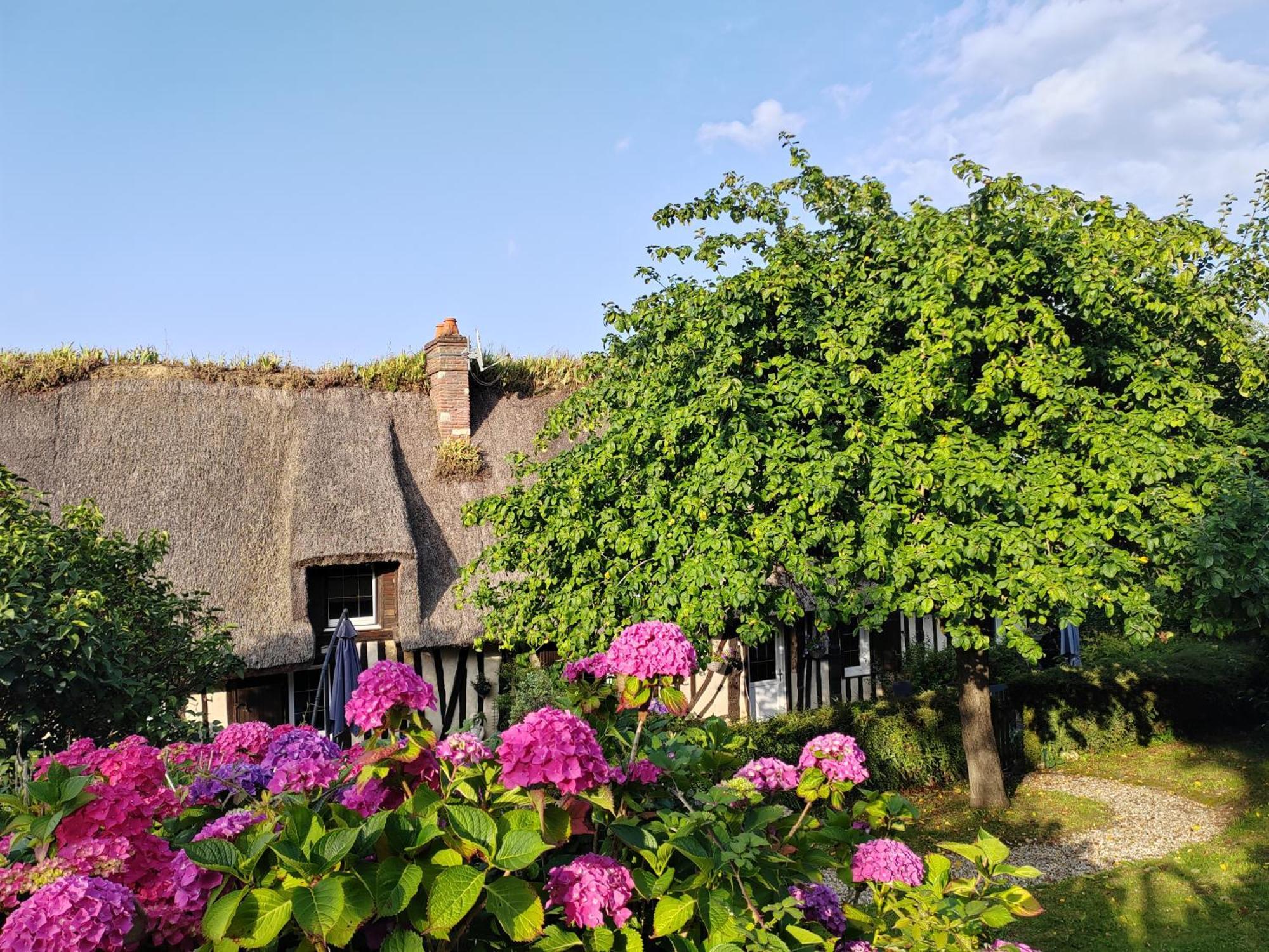 Villa La Maraiquaise Marais-Vernier Esterno foto