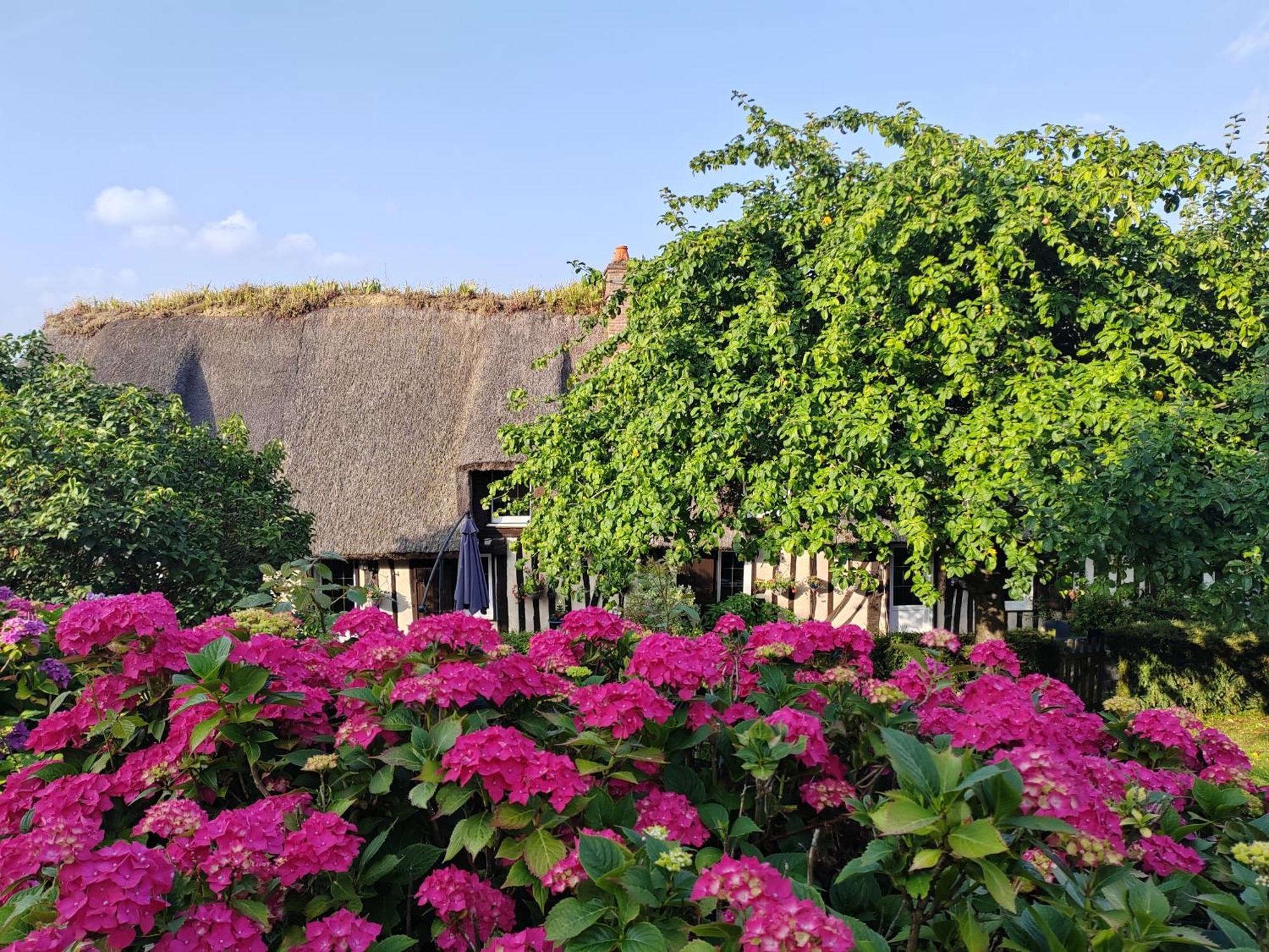 Villa La Maraiquaise Marais-Vernier Esterno foto